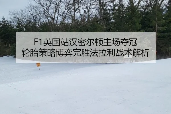 ying-guo-zhan-han-mi-er-dun-zhu-chang-duo-guan-lun-tai-ce-lve-bo-yi-wan-sheng-fa-la-li-zhan-shu-jie-xi-2-128.jpg